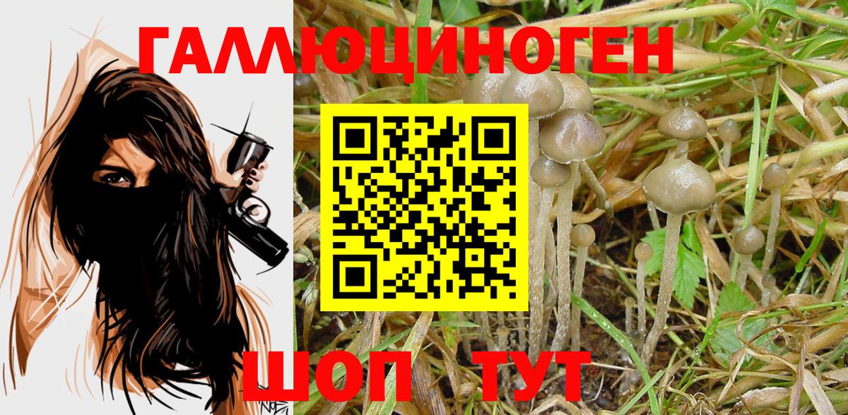 Псилоцибиновые грибы GOLDEN TEACHER Бахчисарай