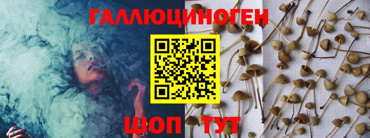 Псилоцибиновые грибы прущие грибы  Вход с VPN  наркота  Бахчисарай 